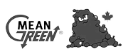 Mean Green