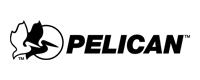 Pelican