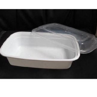 Container & Lid- Plastic