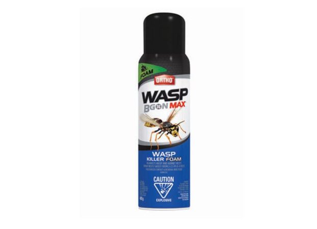 Wasp Foam Ortho Aerosol
