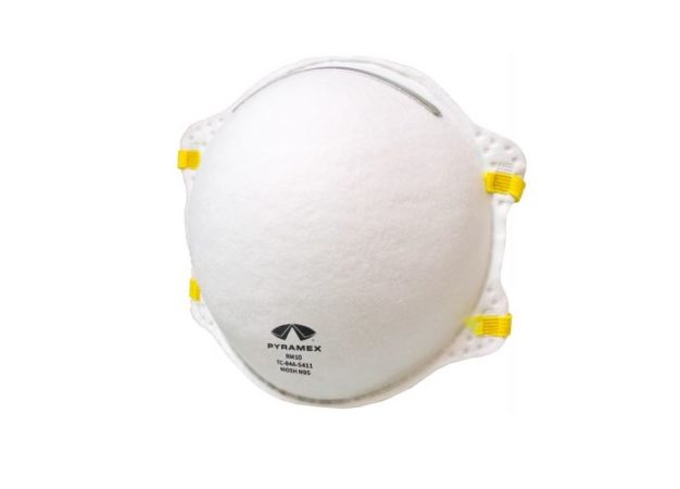 N95 Dust Mask